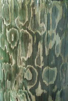 Tiled Image