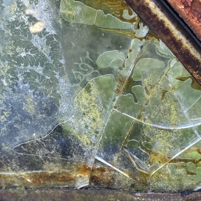Tiled Image