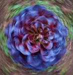 Tiled Image