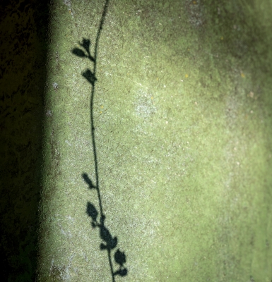 Tiled Image