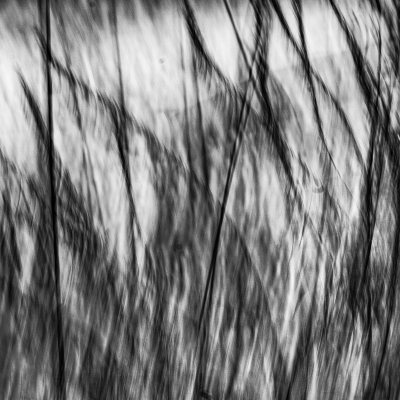 Tiled Image