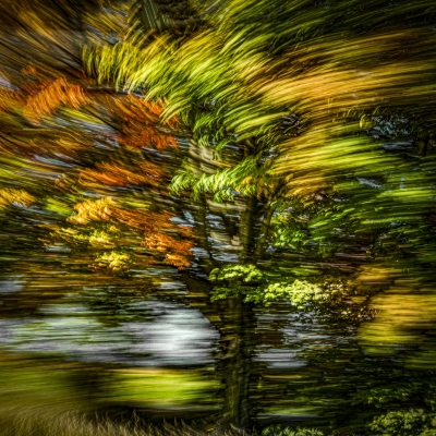 Tiled Image