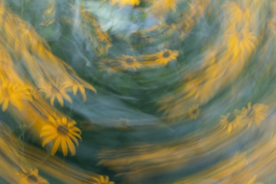 Tiled Image