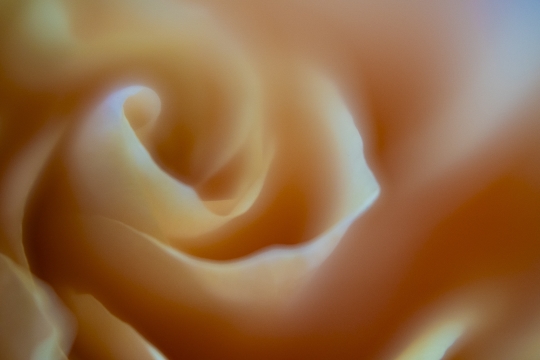 Tiled Image