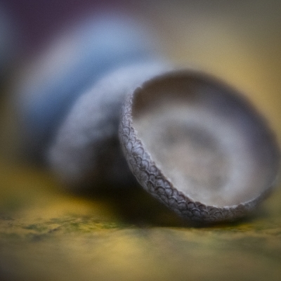 Tiled Image