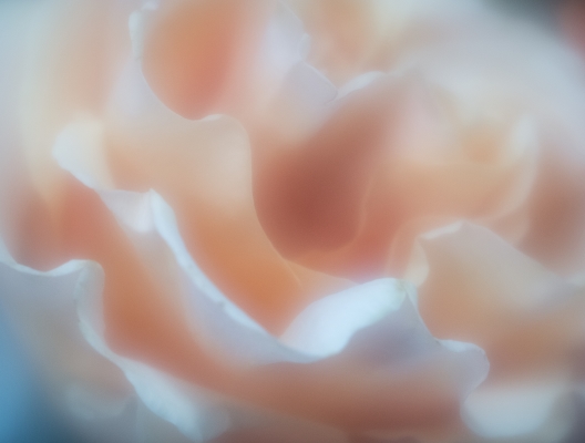 Tiled Image