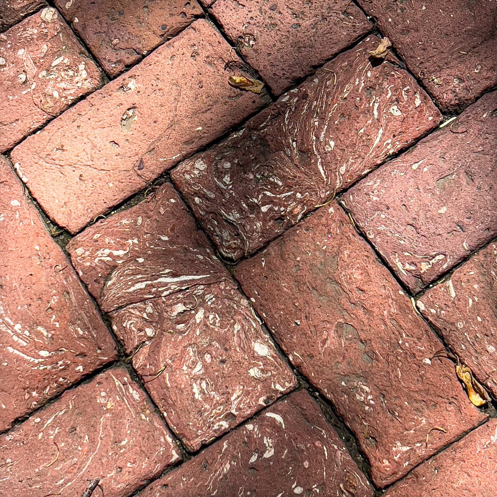 Tiled Image