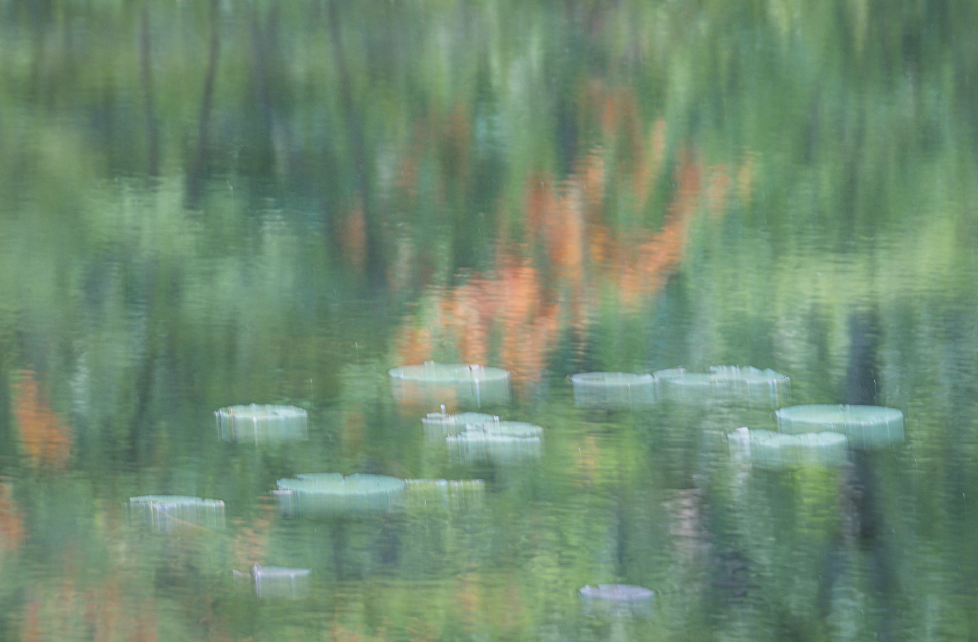 Tiled Image