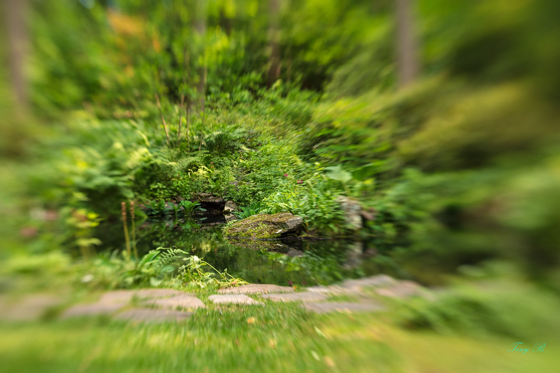 Tiled Image