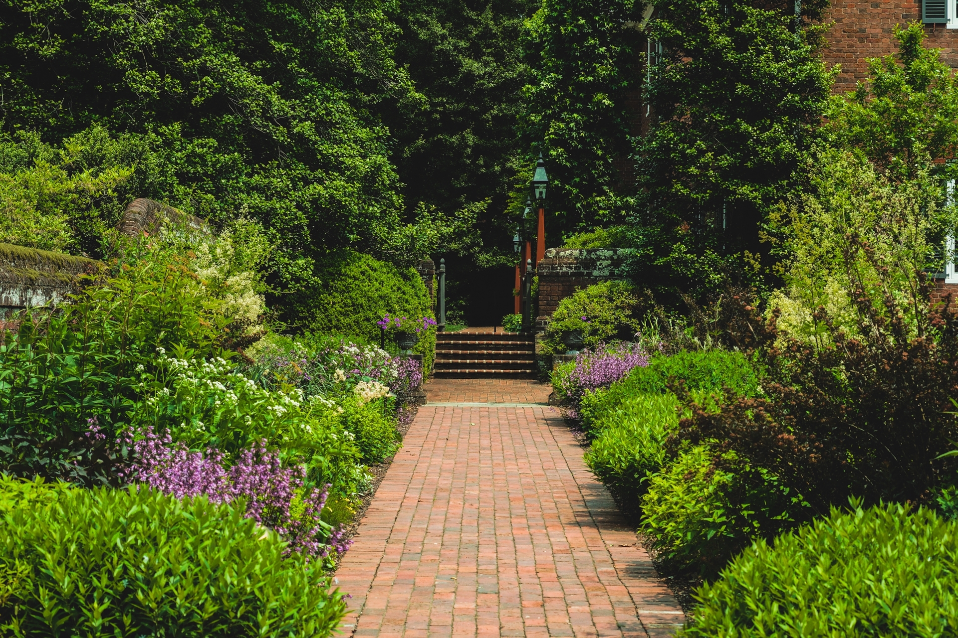 Tiled Image