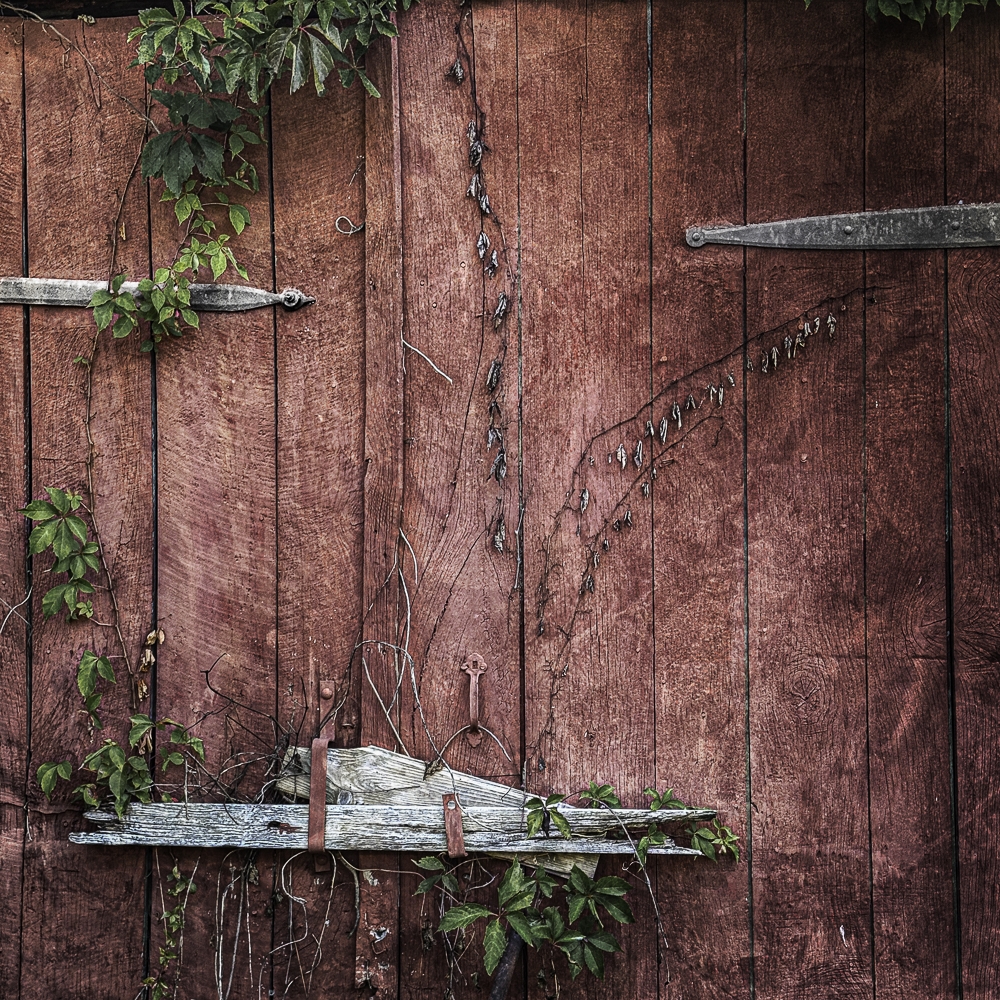 Tiled Image
