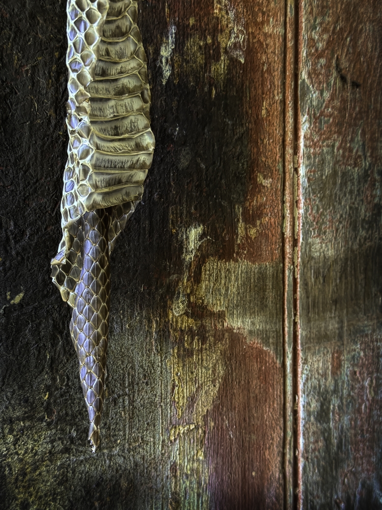 Tiled Image