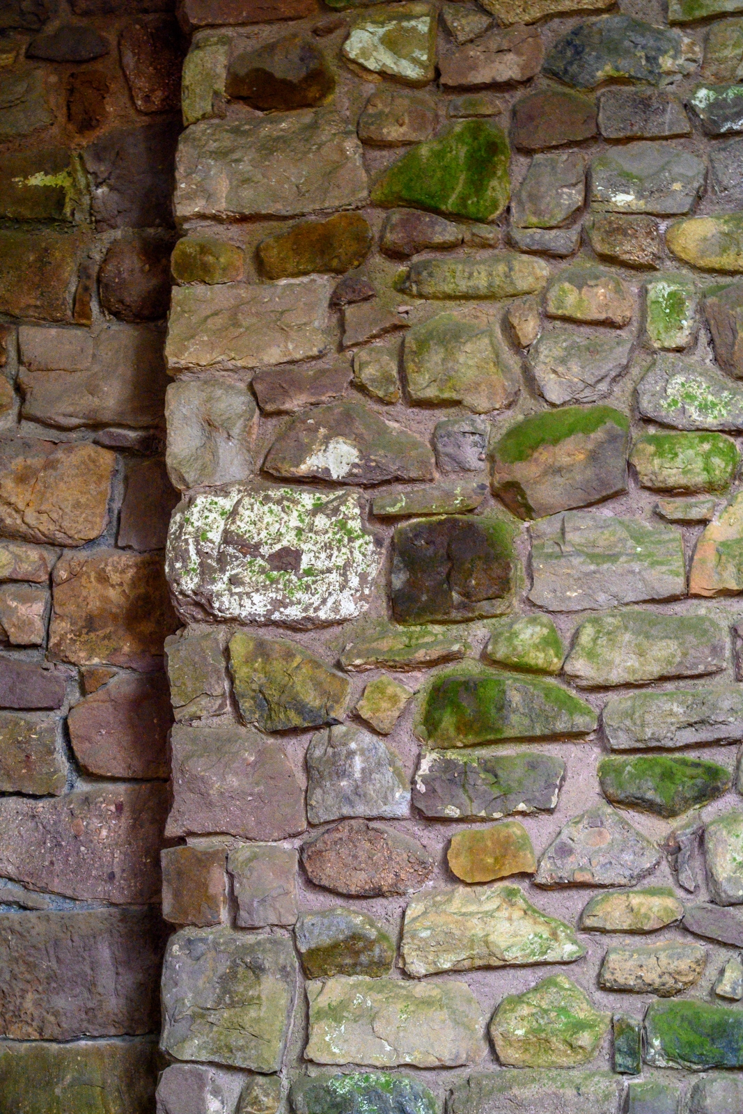 Tiled Image